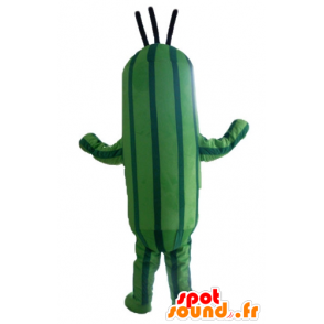 Cucumber mascot, two-tone green zucchini - MASFR24210 - Mascot of vegetables