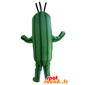Mascotte de concombre, de courgette verte bicolore - MASFR24210 - Mascotte de légumes