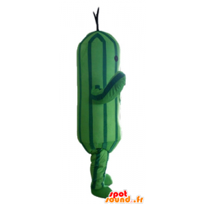 Mascota de pepino, dos tonos de calabacín verde - MASFR24210 - Mascota de verduras