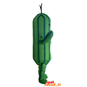 Maskottgurka, tvåfärgad grön zucchini - Spotsound maskot