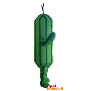 Cucumber Maskottchen, zweifarbige grüne Zucchini - MASFR24210 - Maskottchen von Gemüse