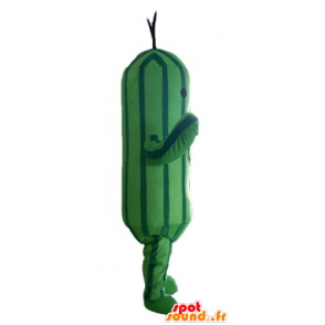 Mascotte de concombre, de courgette verte bicolore - MASFR24210 - Mascotte de légumes