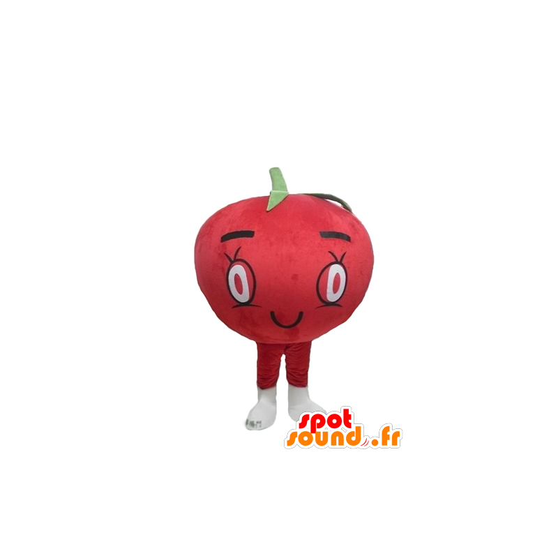 Mascot tomate gigante roja, toda redonda y lindo - MASFR24212 - Mascota de la fruta