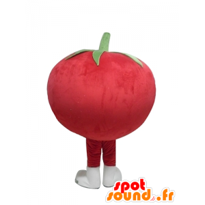 Mascot tomate gigante roja, toda redonda y lindo - MASFR24212 - Mascota de la fruta