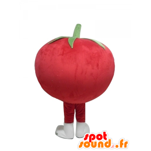 Mascotte de tomate rouge géante, toute ronde et mignonne - MASFR24212 - Mascotte de fruits