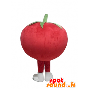 Mascot tomate vermelho gigante, todo redondo e bonito - MASFR24212 - frutas Mascot