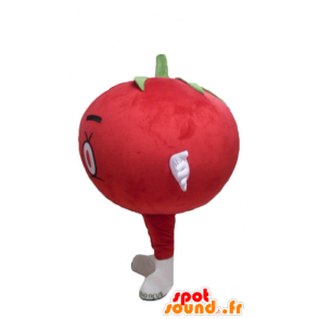 Mascot gigante rossa di pomodoro, tutto l'e carino - MASFR24212 - Mascotte di frutta