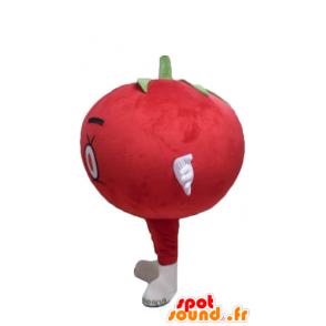 Maskot obří červené rajče, celé kolo a cute - MASFR24212 - fruit Maskot