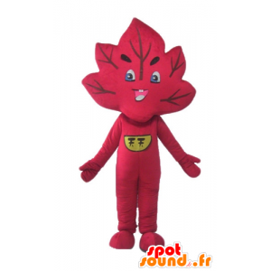 Mascot red leaf, giant and smiling - MASFR24234 - Mascots of plants