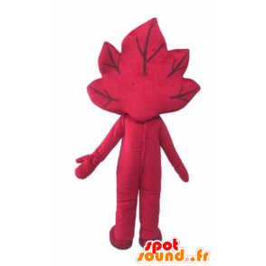 Mascotte de feuille rouge, géante et souriante - MASFR24234 - Mascottes de plantes