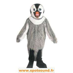 Grå pingvin maskot, sort og hvid - Spotsound maskot kostume