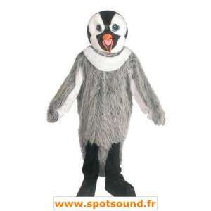 Mascotte de pingouin gris, noir et blanc - MASFR006644 - Mascottes Pingouin