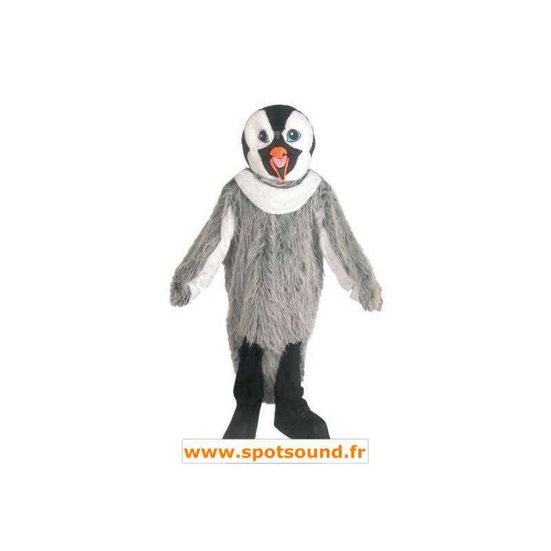 Cinza pinguim mascote, preto e branco - MASFR006644 - pinguim mascote