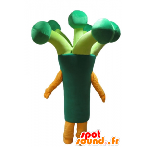 Leek mascot, green broccoli, giant - MASFR24239 - Mascot of vegetables
