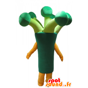 Mascotte porro, verde, broccoli, gigante - MASFR24239 - Mascotte di verdure