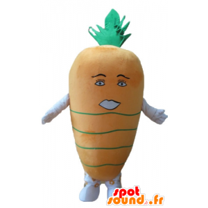 Mascot oransje og grønn gulrot, gigantiske - MASFR24240 - vegetabilsk Mascot