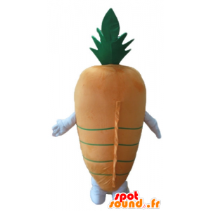 Mascot orange and green carrot, giant - MASFR24240 - Mascot of vegetables