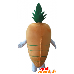 Mascot oransje og grønn gulrot, gigantiske - MASFR24240 - vegetabilsk Mascot