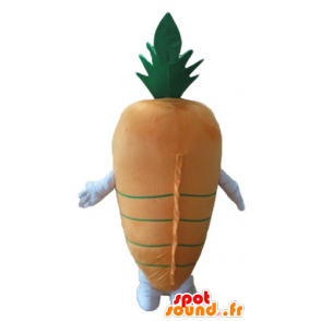 Mascot oranžové a zelené mrkev, obří - MASFR24240 - zelenina Maskot