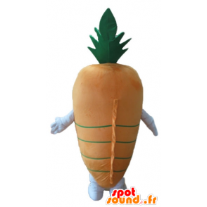 Mascote de laranja e cenoura verde, gigante - MASFR24240 - Mascot vegetal