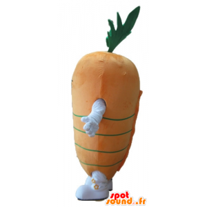 Mascot orange and green carrot, giant - MASFR24240 - Mascot of vegetables