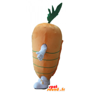 Mascot oranje en groene wortel, reuze - MASFR24240 - Vegetable Mascot