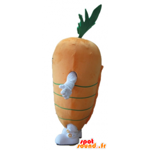 Mascote de laranja e cenoura verde, gigante - MASFR24240 - Mascot vegetal