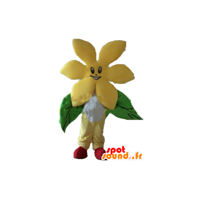 Amarillo Pretty mascota flor, muy alegre - MASFR24254 - Mascotas de plantas