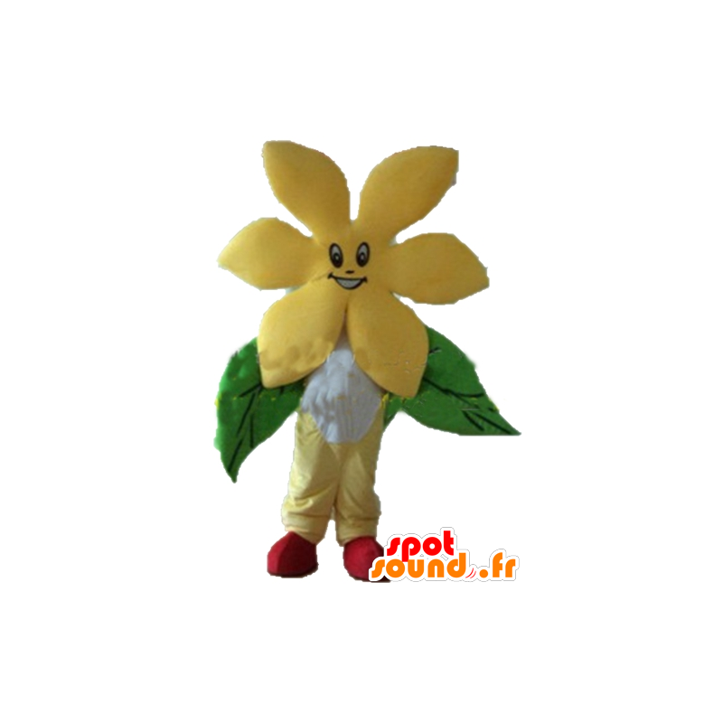 Bel fiore mascotte gialla, molto allegro - MASFR24254 - Mascotte di piante