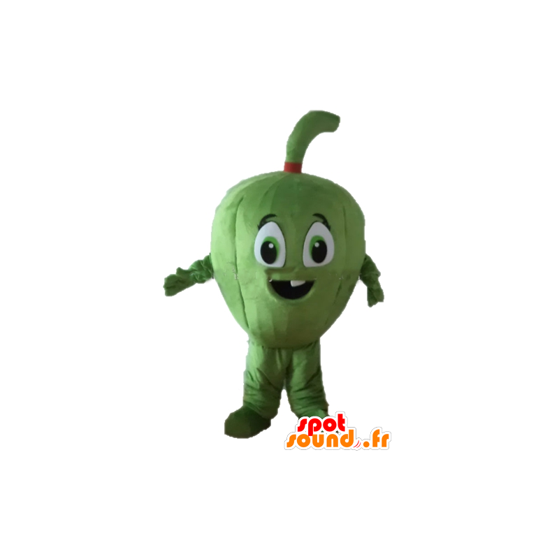 Meloen mascotte, fruit, reuze vijgen - MASFR24255 - Mascottes van groenten en fruit