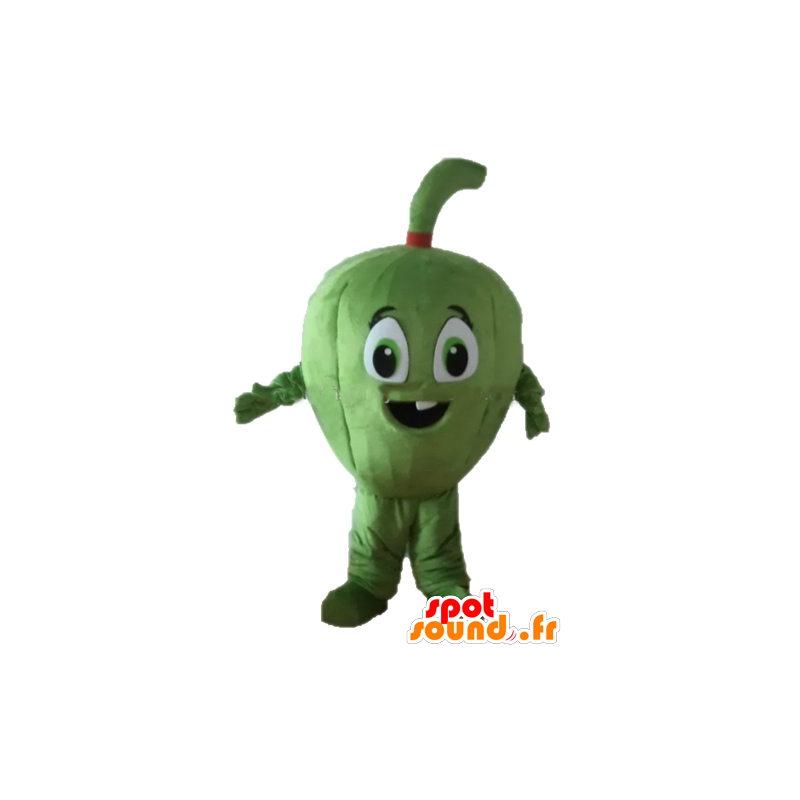 Melon mascot, fruit, giant figs - MASFR24255 - Mascots for fruit and vegetables
