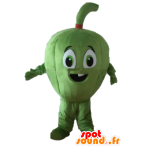Melon Maskottchen, Obst, Riesen Feigen - Obst- und Gemüsemaskottchen - MASFR24255 - SpotSound.fr