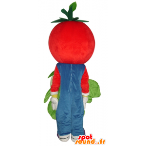 Mascot tomaat rood, lachend, met een bloemkool - MASFR24259 - fruit Mascot