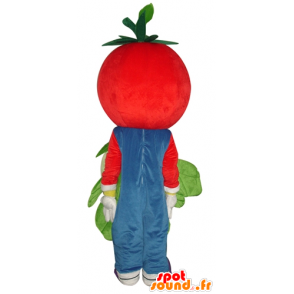 Mascot Tomaten rot, lächelnd, mit einem Blumenkohl - MASFR24259 - Obst-Maskottchen