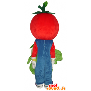 Mascotte pomodoro rosso, sorridente, con un cavolfiore - MASFR24259 - Mascotte di frutta