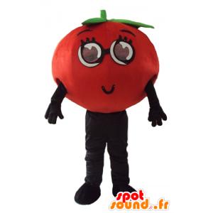 Tomaatti maskotti ympärillä, ja koskettava - MASFR24260 - hedelmä Mascot