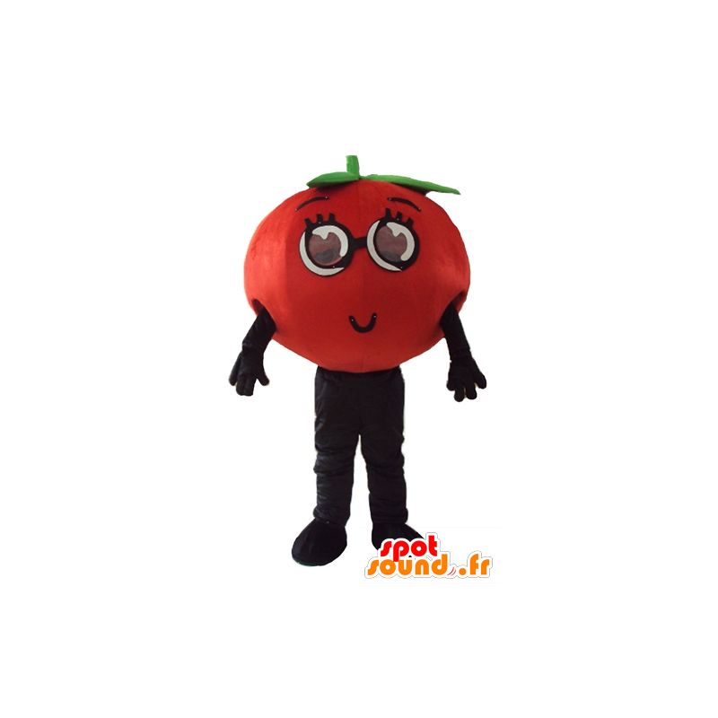 Mascotte de tomate, toute ronde et attendrissante - MASFR24260 - Mascotte de fruits