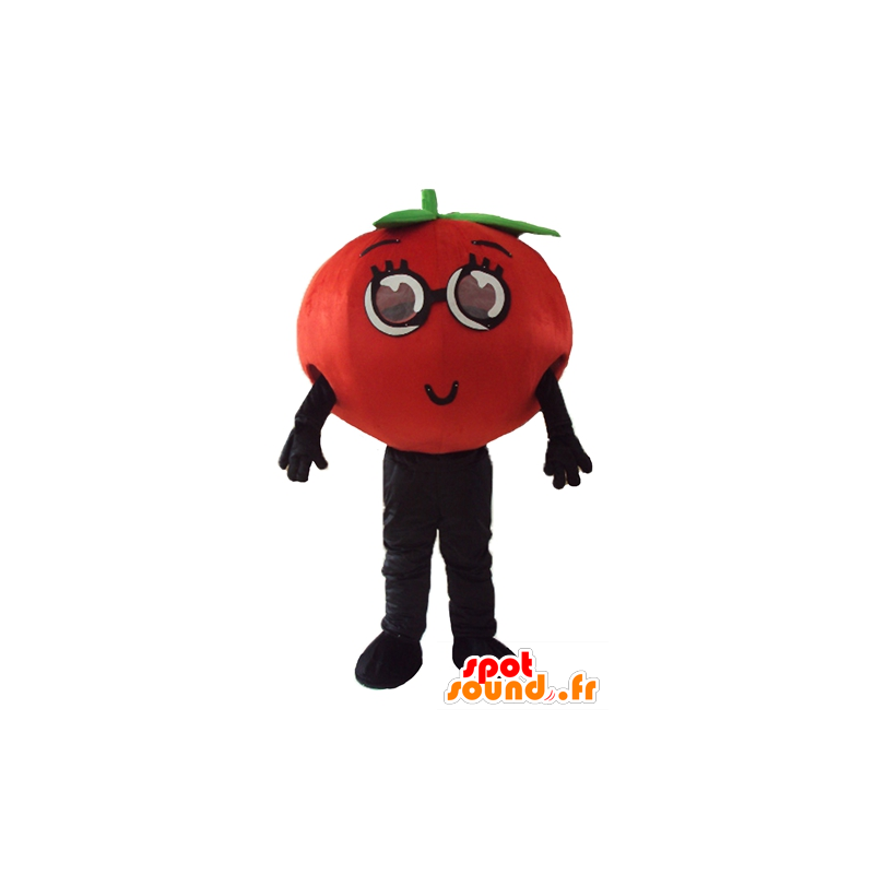 Tomate mascote, todo e tocar - MASFR24260 - frutas Mascot