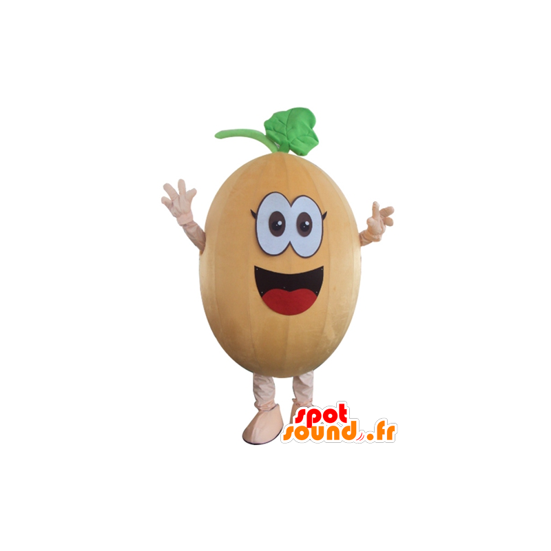 Kürbis-Maskottchen, Kürbis, Melone, lustig und lächelnd - MASFR24266 - Maskottchen von Gemüse