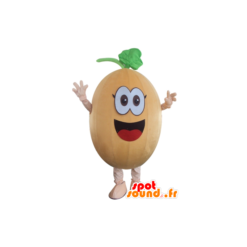 Zucca mascotte, zucca, melone, divertente e sorridente - MASFR24266 - Mascotte di verdure