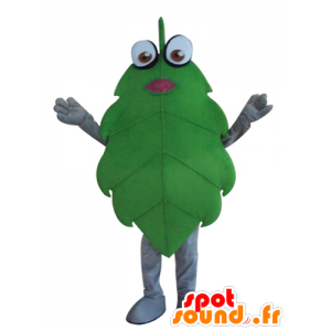 Mascot groen blad, reus, grappig - MASFR24272 - mascottes planten