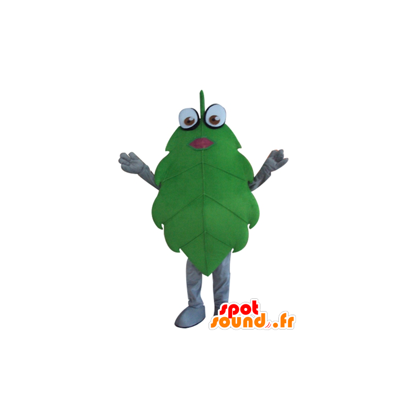 Foglia verde mascotte, gigante, divertente - MASFR24272 - Mascotte di piante