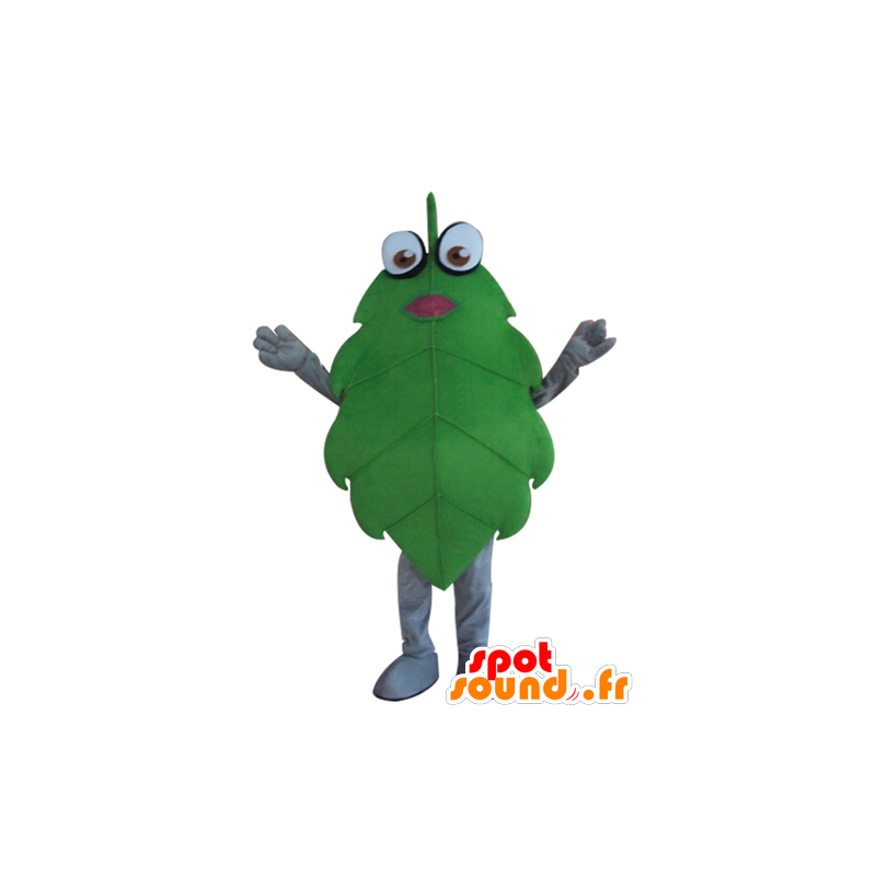 Folha verde mascote, gigante, engraçado - MASFR24272 - plantas mascotes