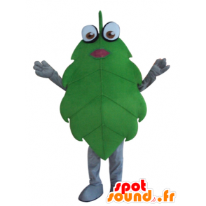 Folha verde mascote, gigante, engraçado - MASFR24272 - plantas mascotes
