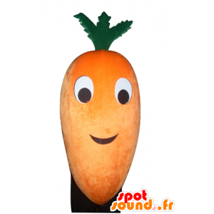 Maskotti oranssi ja vihreä porkkana, jättiläinen - MASFR24273 - vihannes Mascot