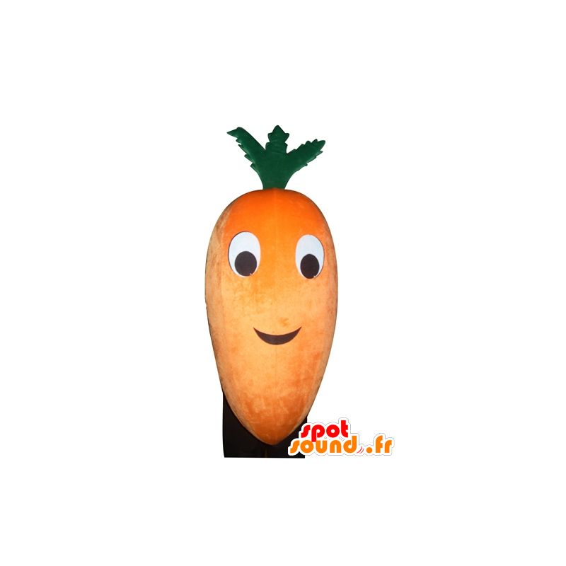 Mascot oranje en groene wortel, reuze - MASFR24273 - Vegetable Mascot