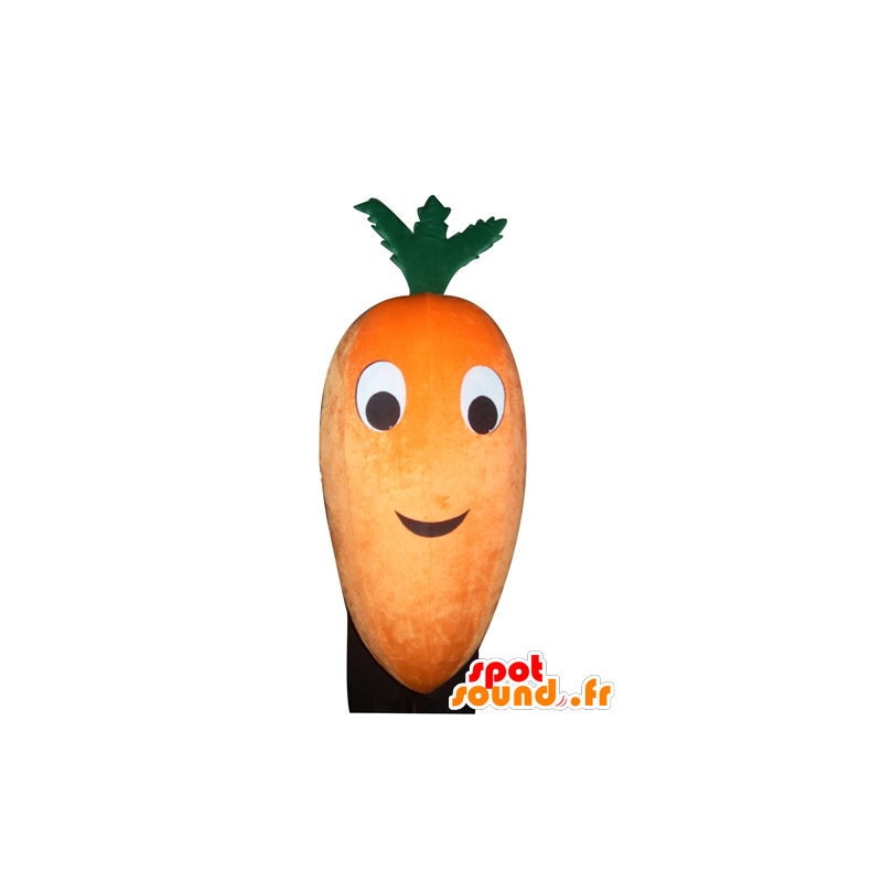 Mascote de laranja e cenoura verde, gigante - MASFR24273 - Mascot vegetal