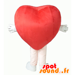 Cuore rosso della mascotte, gigante carino - MASFR24342 - Valentine mascotte