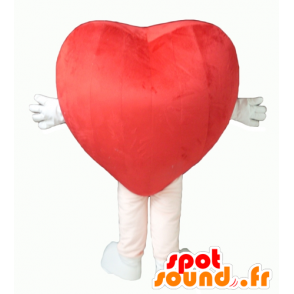 Maskotti punainen sydän, jättiläinen ja söpö - MASFR24342 - Mascotte Saint-Valentin