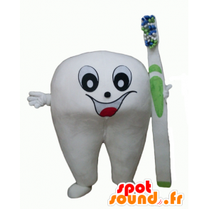 Mascot dente branco gigante com uma escova de dentes - MASFR24348 - Mascotes não classificados